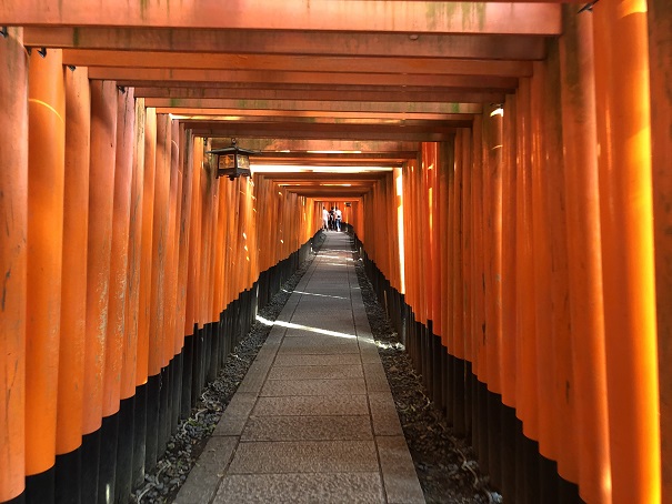 Kyoto Fushimi Inari Shrine torii corridor