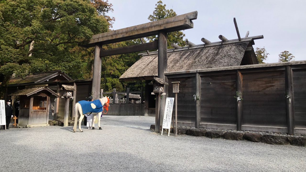 【Basics of How to Visit Shrines】Pilgrimage procedures favored by God