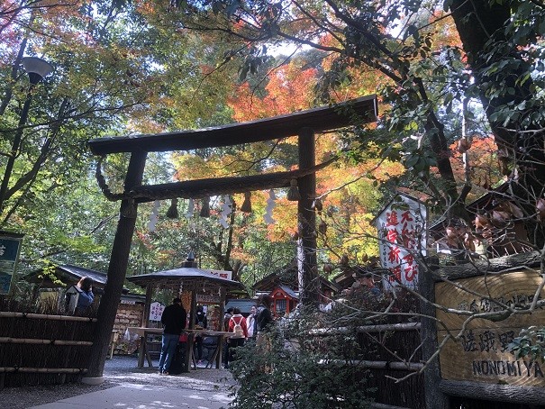 野宮神社日本最古の鳥居『黒木鳥居』