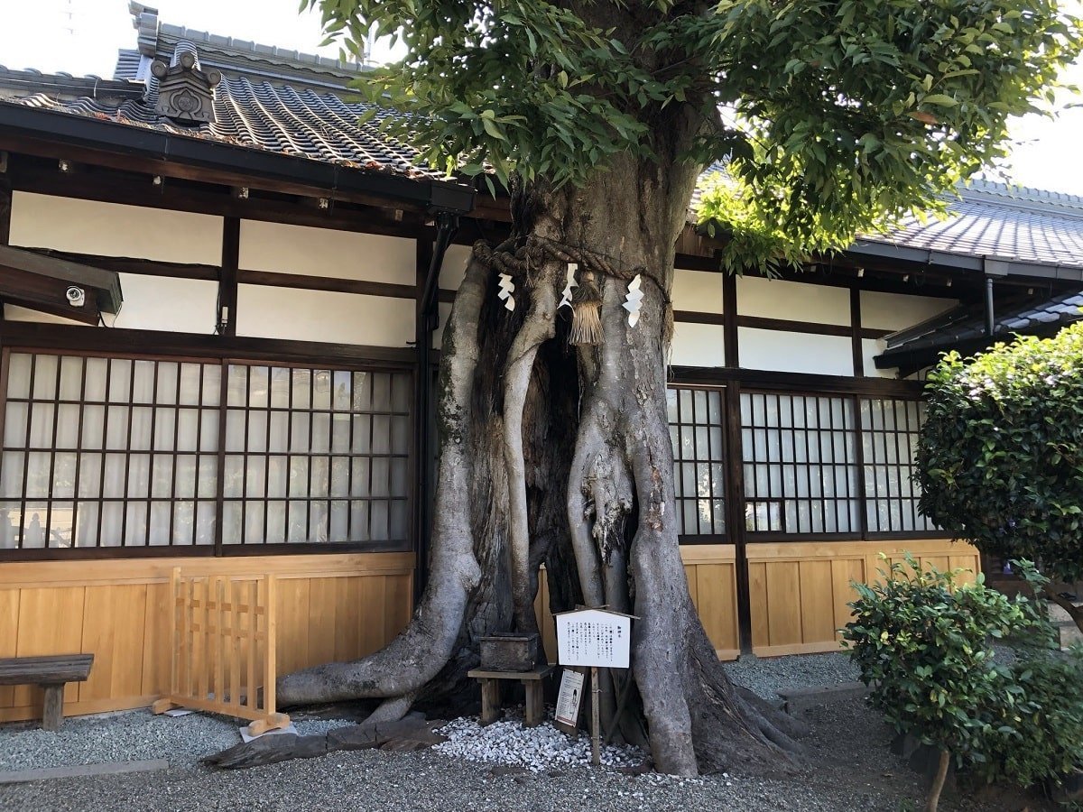 三輪恵比須神社