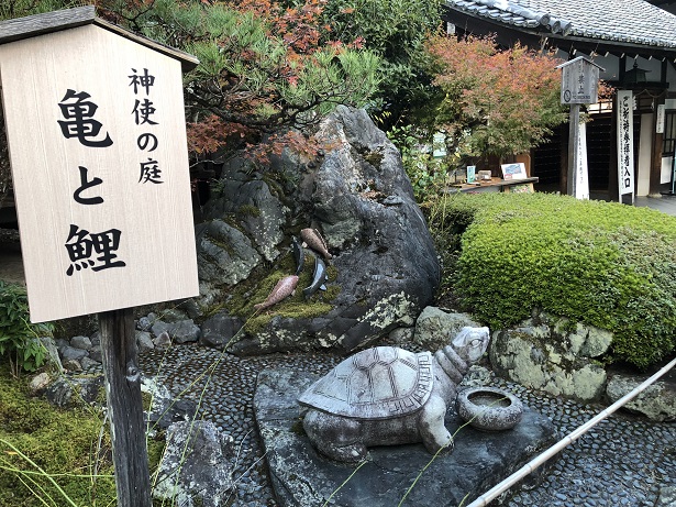 松尾大社　亀と鯉