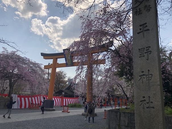 約60種類400本の桜が咲き誇る「平野神社」