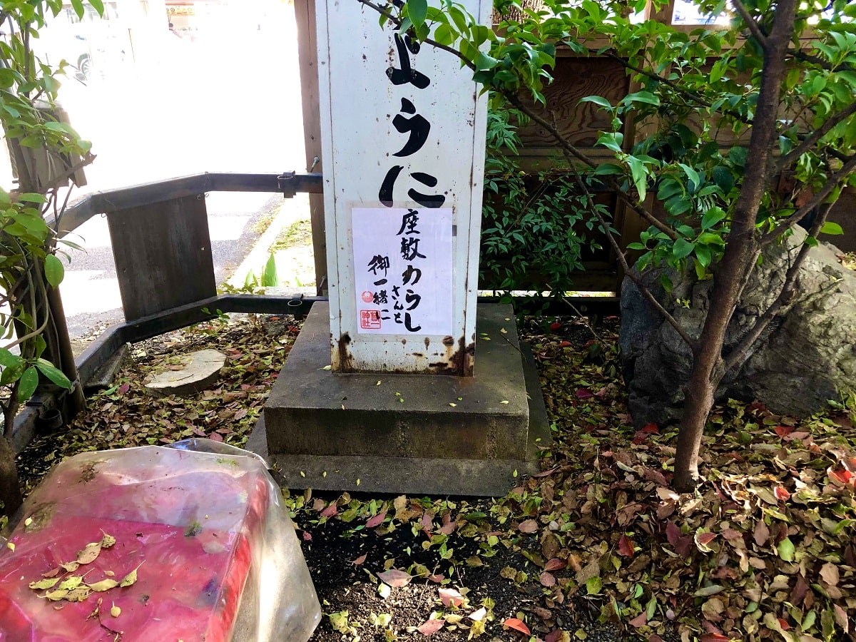 【京都・若一神社】見た者に幸運が訪れる座敷わらし開運フォトスポット