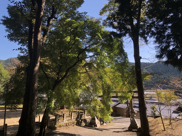静原神社の境内の雰囲気