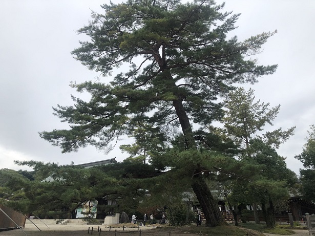 橿原神宮日本はじまりの地のスケール感