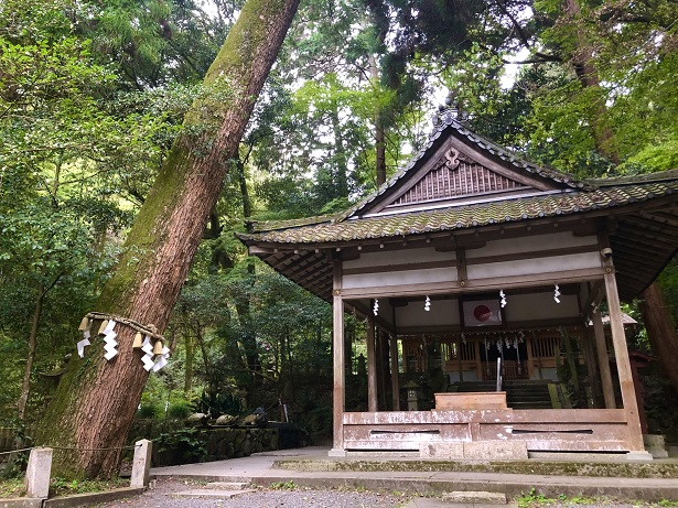小倉神社　社殿