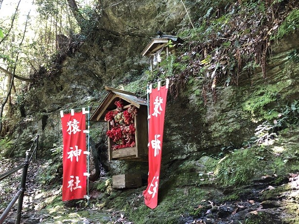 中山神社岡山津山　猿神社