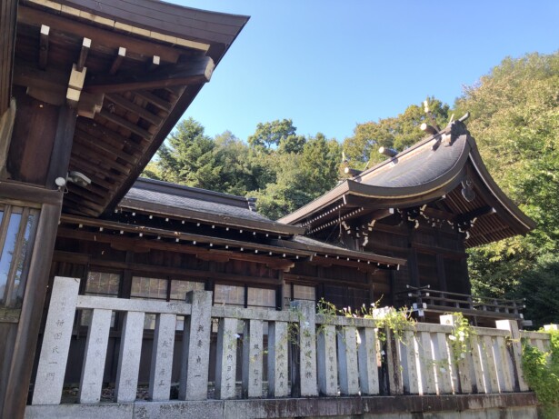 福井・藤島神社　本殿