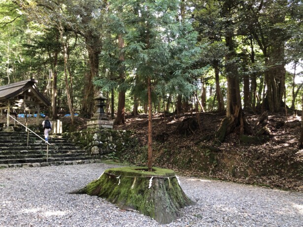 京都の観光スポット「伊根の舟屋」周辺のおすすめ神社ご神木