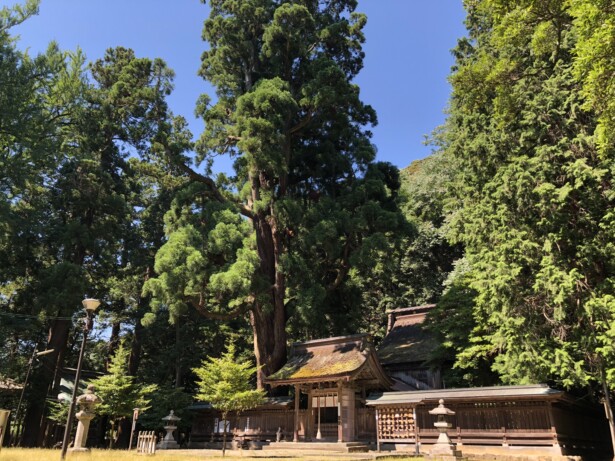 京都の観光スポット「伊根の舟屋」周辺のおすすめ神社若狭姫神社