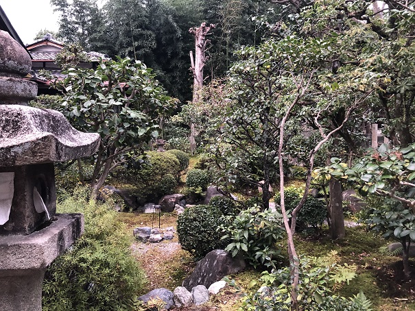 【京都・三之宮神社】ご祭神・ご利益・境内の雰囲気などをご紹介