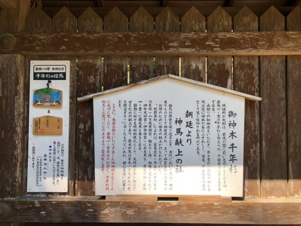 【福井・若狭姫神社】ご祭神・ご利益・境内の雰囲気などをご紹介