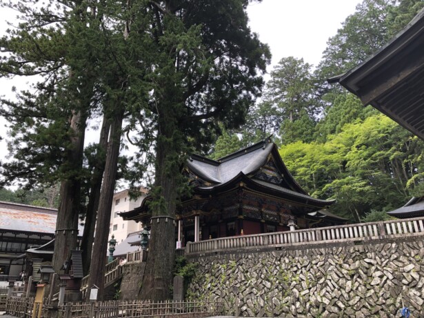 【埼玉・三峯神社】関東最強スポット三峯神社、人生を変えるパワーを探る樹齢800年の御神木