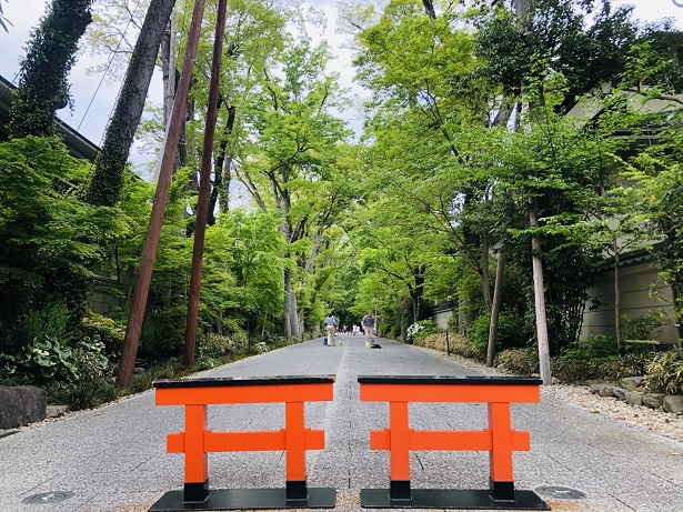 賀茂御祖神社（下鴨神社）緑豊かな縁結びのパワースポット