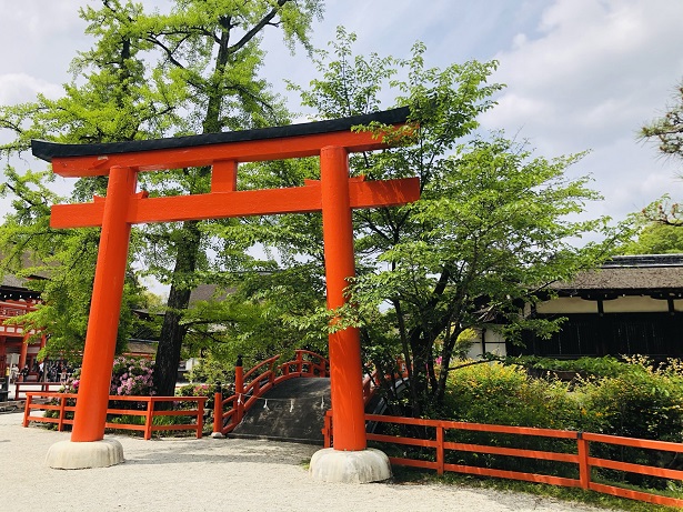 賀茂御祖神社（下鴨神社）緑豊かな縁結びのパワースポット