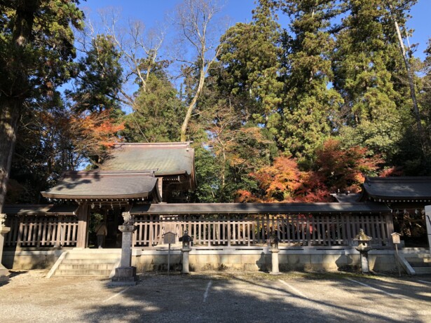 【滋賀・多賀大社】「お多賀さん」と親しみやすい延命長寿の神社社殿