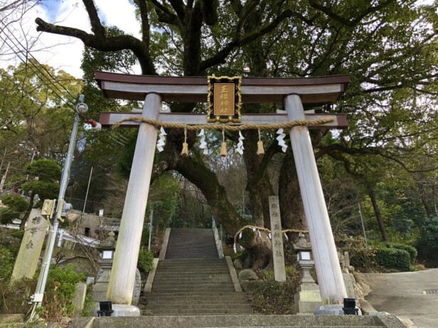 【大阪府・玉祖神社】歴史と自然が織りなす高安の鎮守鳥居