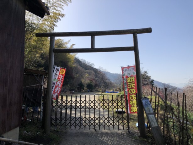 【大阪府・玉祖神社】歴史と自然が織りなす高安の鎮守境内で放し飼いにされるニワトリ