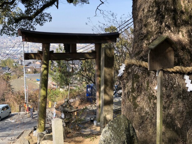 【大阪府・玉祖神社】歴史と自然が織りなす高安の鎮守鳥居