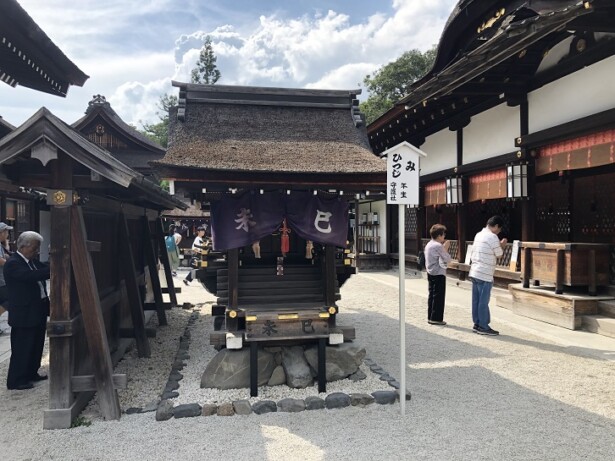 【2025年・巳年】関西の蛇神に出会える最強パワースポット神社10選下鴨神社（京都府京都市）