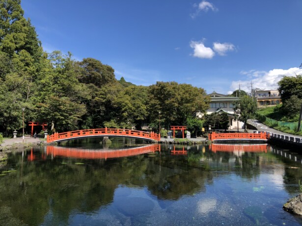 【静岡・富士山本宮浅間大社】富士山を御神体とする全国浅間神社の総本宮特別天然記念物の湧玉池