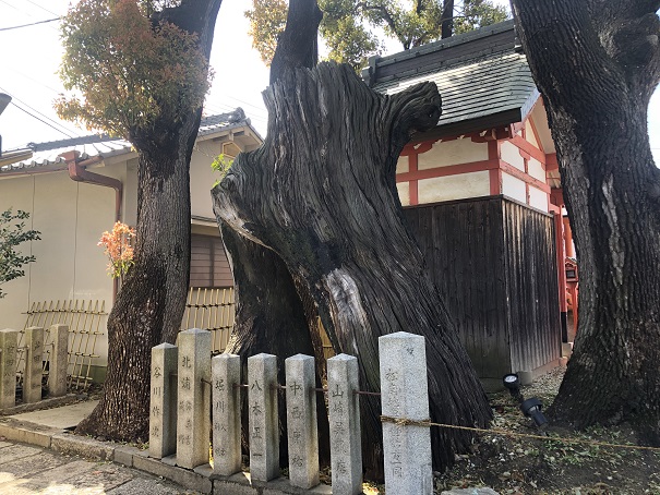 【2025年・巳年】関西の蛇神に出会える最強パワースポット神社10選姫嶋神社（大阪府大阪市）