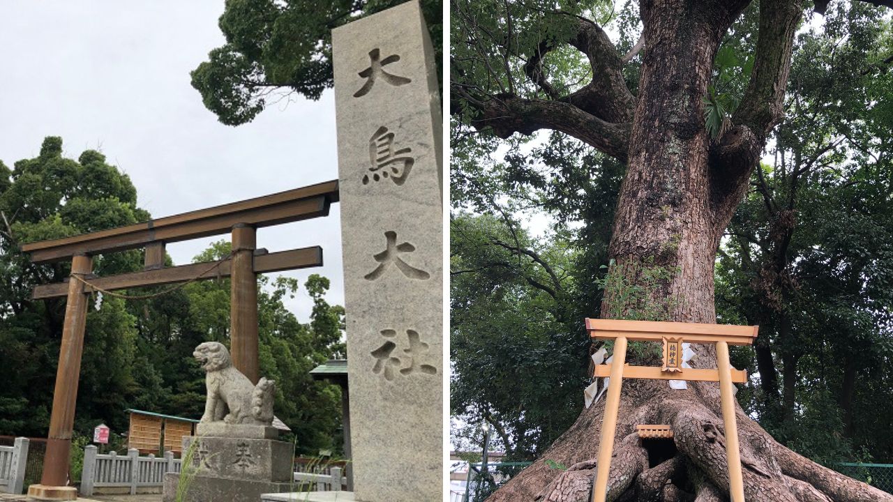 【大阪・大鳥大社】日本武尊を祀る和泉国一之宮で勝運と開運を祈願