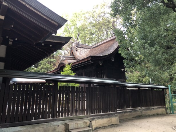 【大阪・原田神社】豊中市の歴史ある厄除けと病気平癒の神社国指定重要文化財の本殿