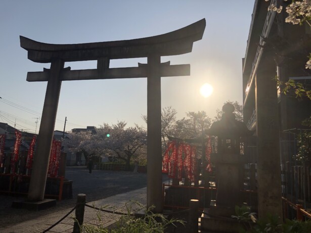 【2025年・巳年】京都で行くべき！金運爆上げ弁財天神社５選六孫王神社（誕生水弁財天）