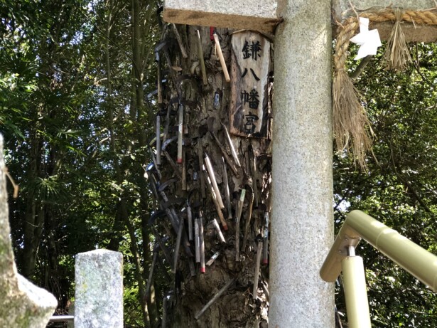 【和歌山県・丹生酒殿神社】酒造りの神と黄金色に輝くイチョウの御神木　鎌八幡宮