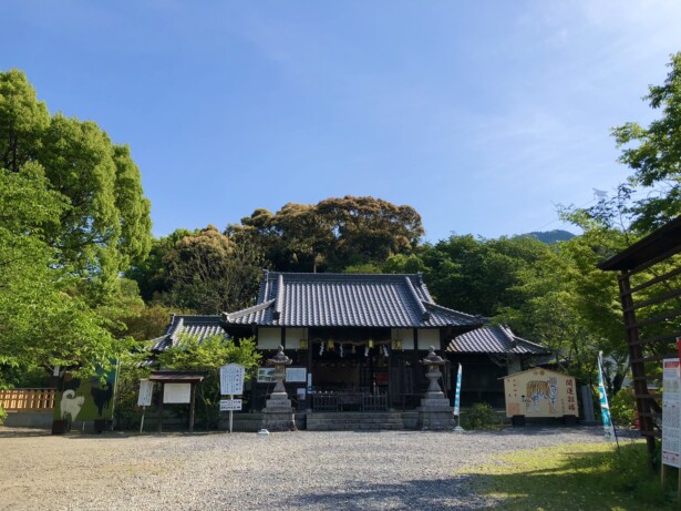 【和歌山県・丹生官省符神社】世界遺産の神社と弘法大師ゆかりの地　社殿