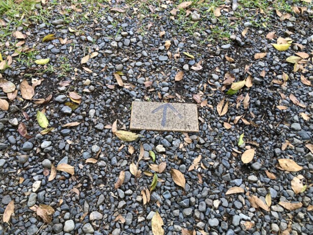 【和歌山県・丹生官省符神社】世界遺産の神社と弘法大師ゆかりの地高野山の頂上が見えるスポット